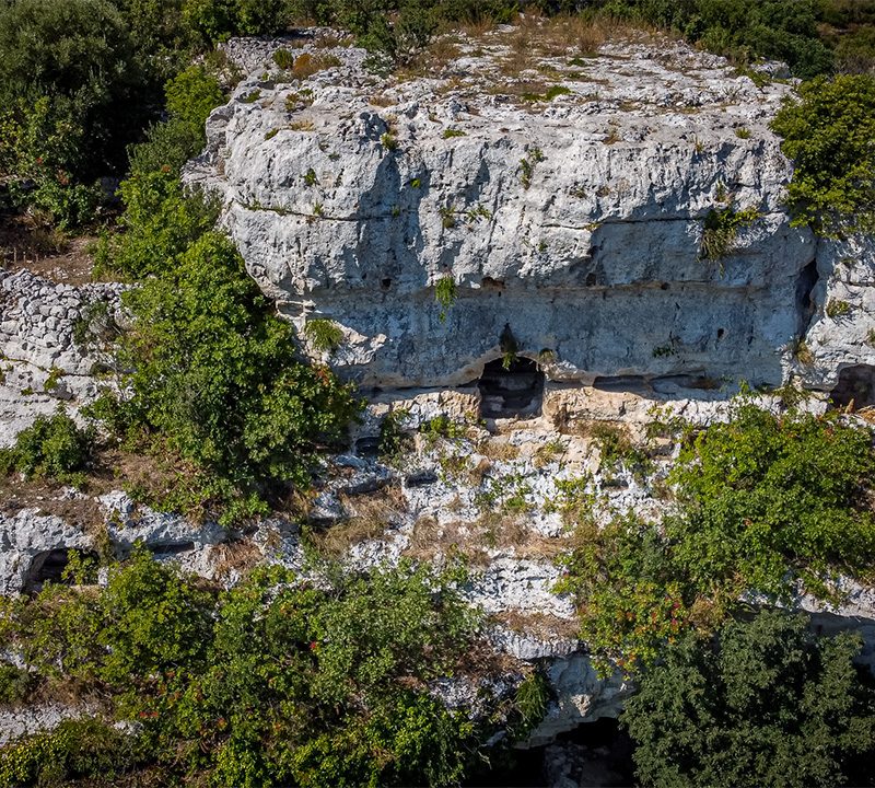 SCOPRIAMO I PRIMI ABITANTI DELLA CAVA D’ISPICA